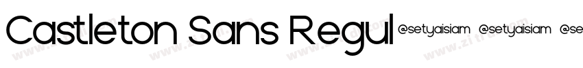 Castleton Sans Regul字体转换